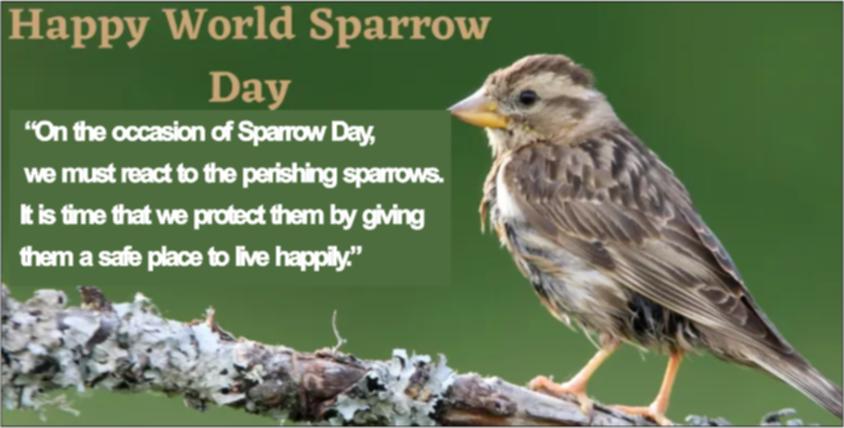 World Sparrow Day 2021