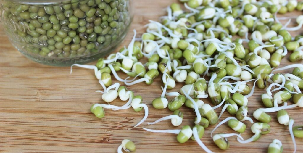 moong sprouts : health benefits of moong sprouts in hindi 
