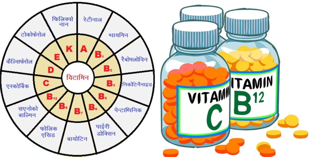 Vitamins : what is vitamins and important types of vitamins with chemical 