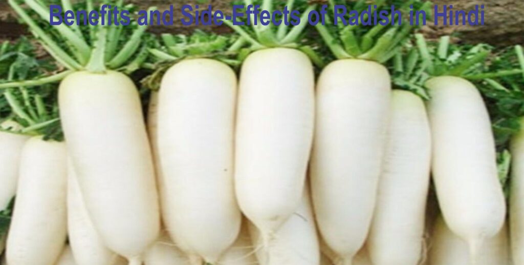Benefits and Side-Effects of Radish in Hindi