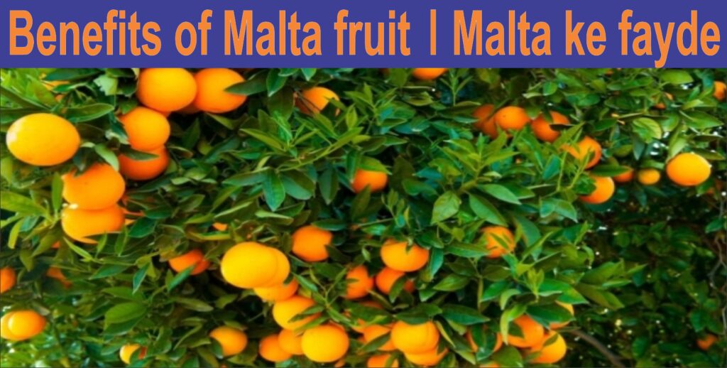 benefits of malta