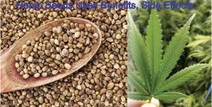 Hemp Seeds Uses Benefits, Side Effects