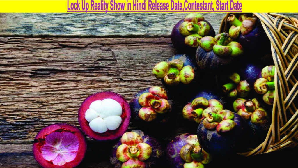 Mangosteen Benefits and side effects in Hindi | Why is mangosteen called the queen of fruit? मैंगोस्टीन (Mangosteen) क्या है?