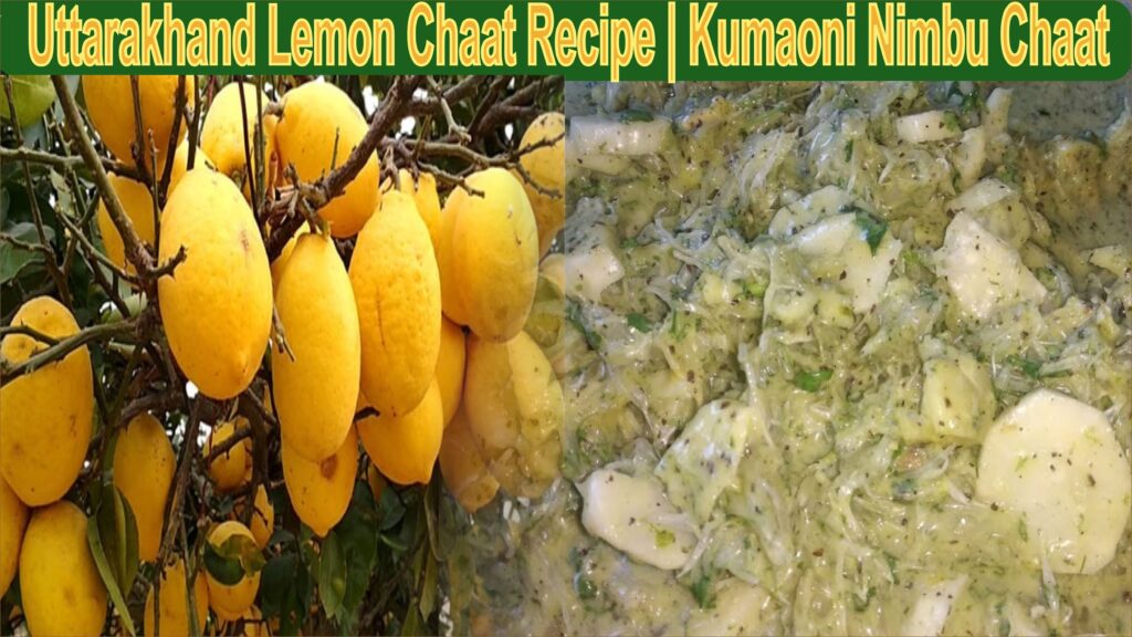 🍋Pahadi nimbu | Uttarakhand Lemon Chaat Recipe |Kumaoni Nimbu Chaat |Nimbu ka saan uttarakhandi famous nimbu ki chat|nimbu saan😍| 