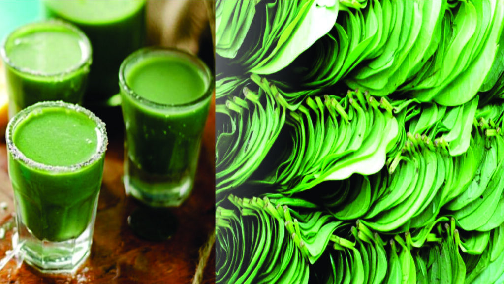 Betel leaf juice benefits
