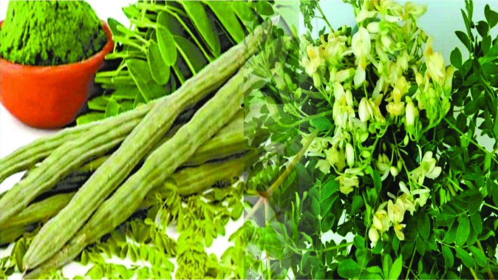 Moringa Leaves Health Benefits | Moringa ki patti ke fayde | मोरिंगा के फायदे | सहजन के फायदे
