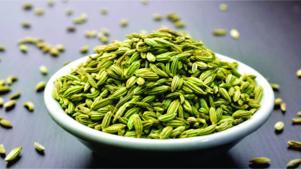 what is fennel seeds