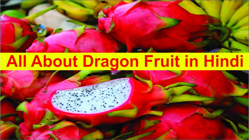 dragon fruit benefits | Kamalam ke fayde
