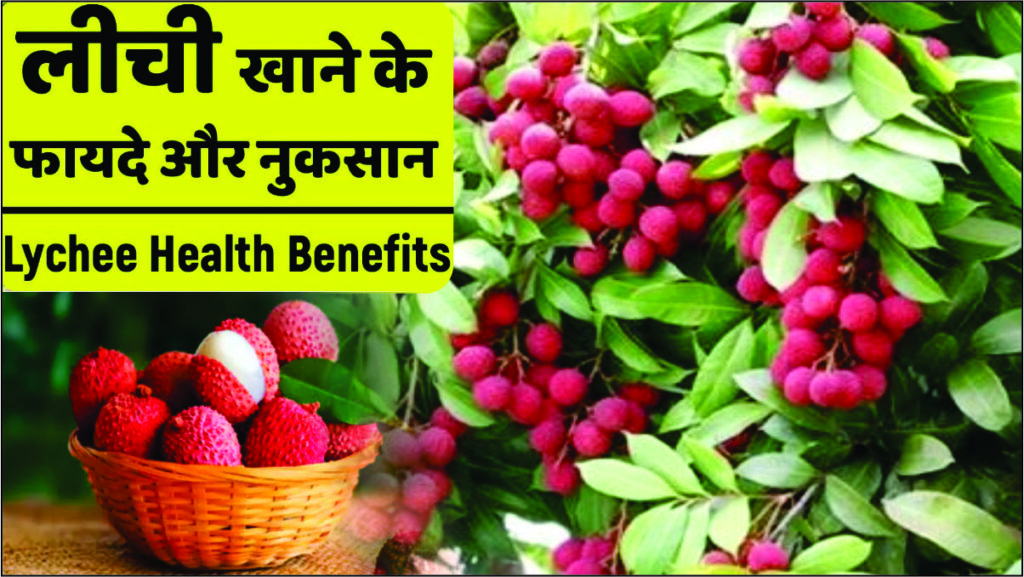 Lichee Benefits and Side Effects in hindi