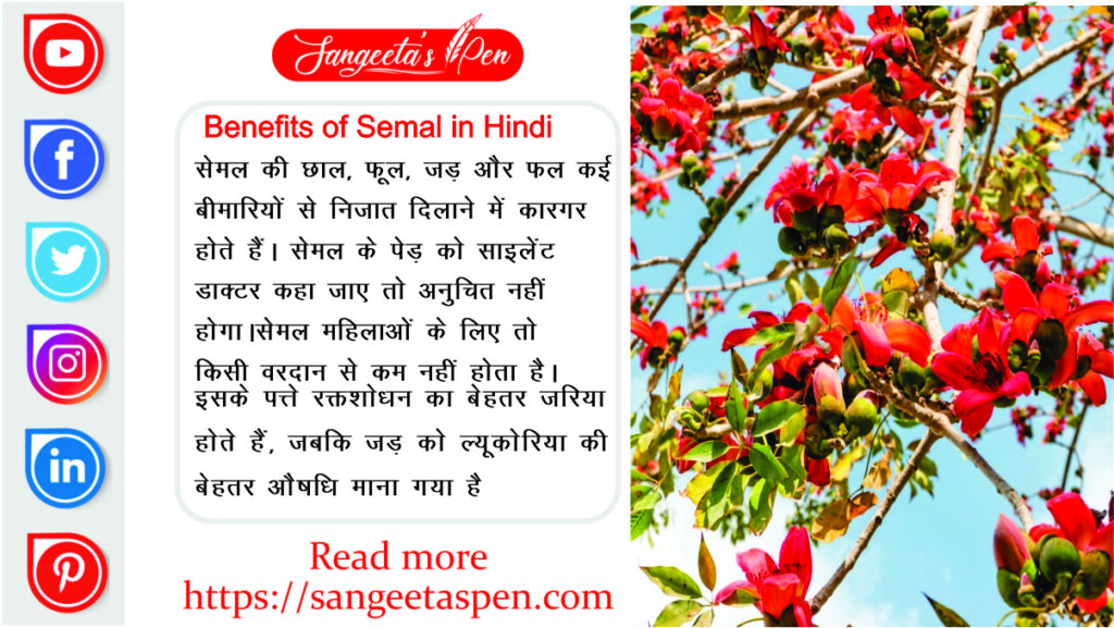 semal flower benefits in hindi | Semal Benefits and Uses in Hindi | सेमल के फायदे | सेमल फूल, फल, पेड़ के लाभ, गुण और आयुर्वेदिक फायदे sikl cotton