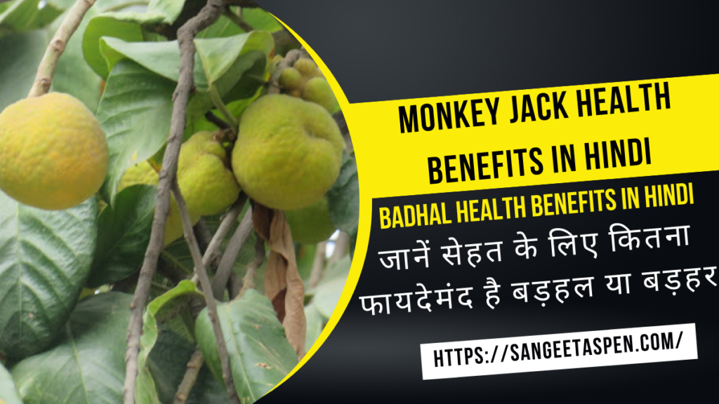 Monkey Jack health benefits in hindi