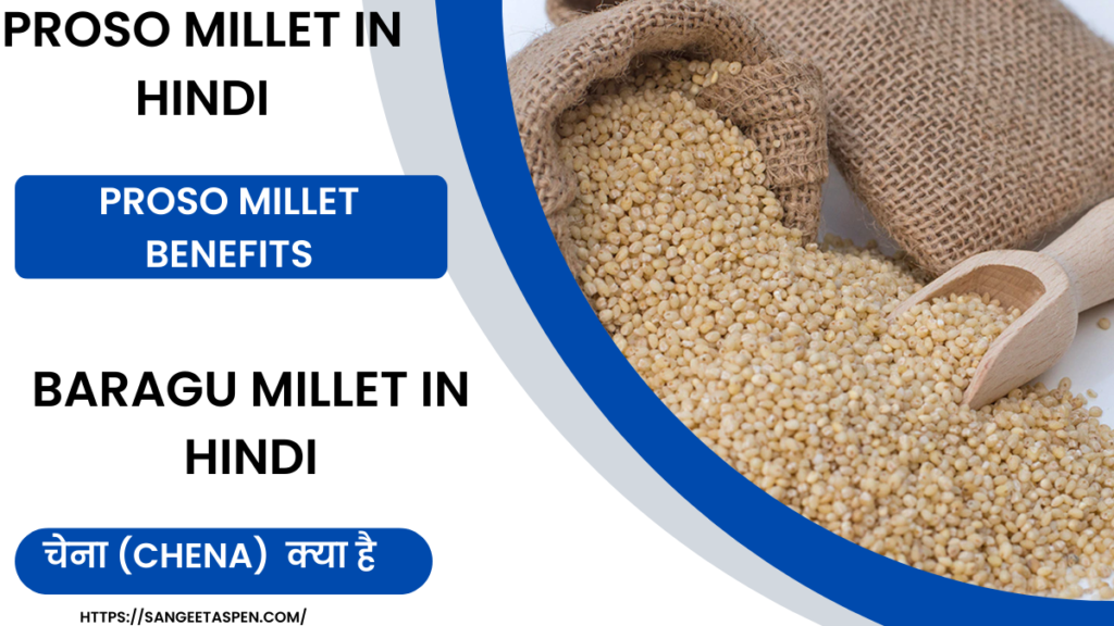 What is Proso Millet in Hindi