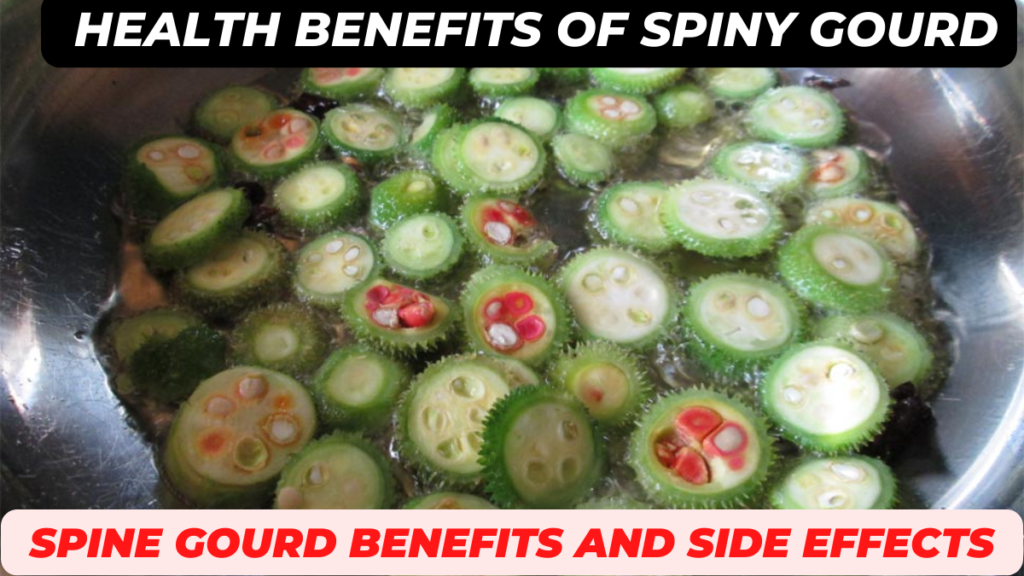  health benefits of spiny gourd