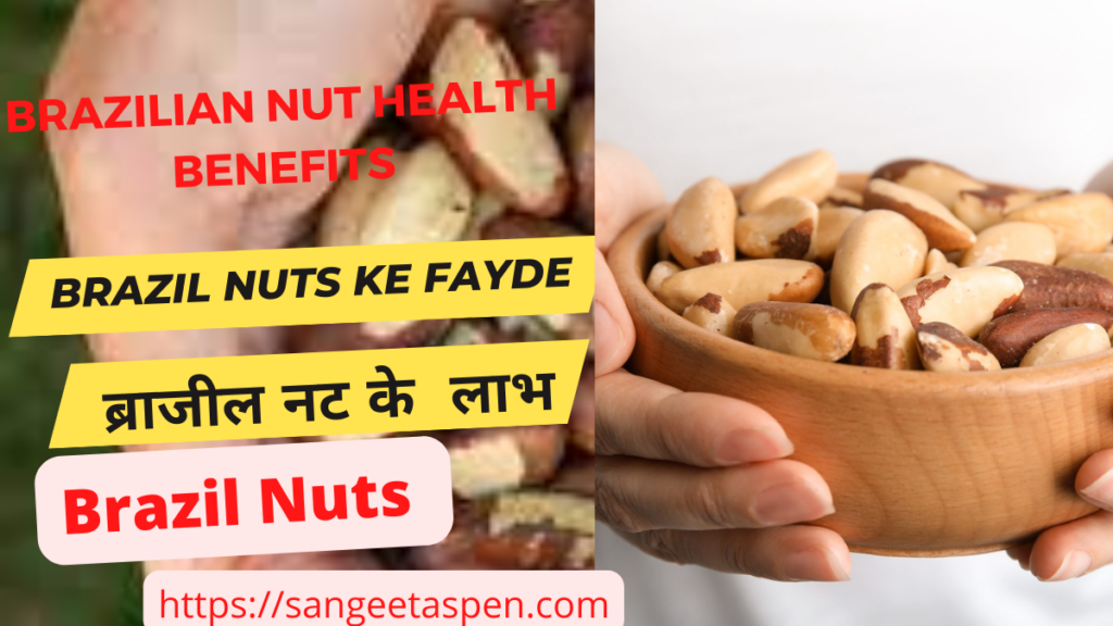 Brazil Nuts In Hindi | brazilian nut health benefits In Hindi