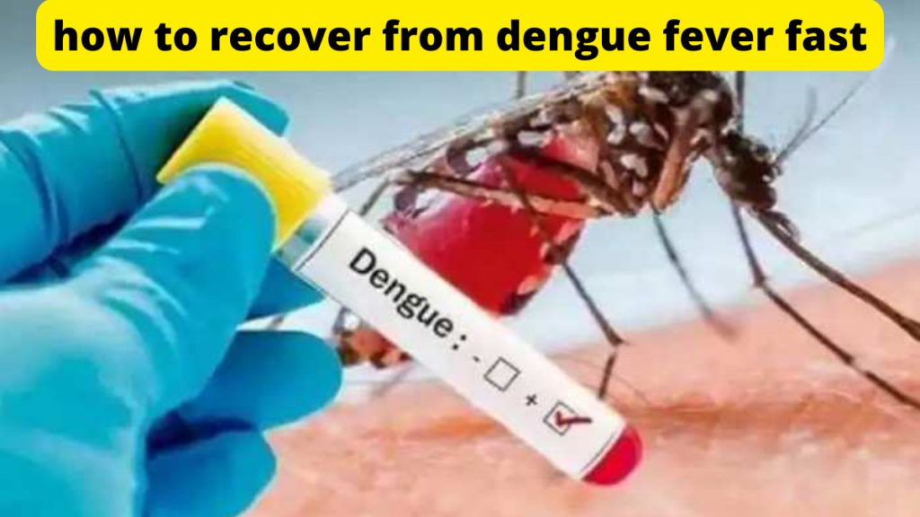 how to recover from dengue fever fast