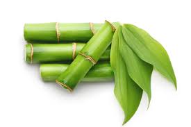Bamboo health benefits in hindi|baans ke gun baans ke fayde|Bamboo Murabba Benefits in hindi|Bans ka Murabba for Height | हाइट बढ़ाने के लिए बांस का मुरब्बा खाने के फायदे 