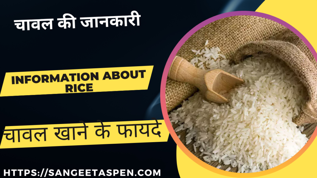 _chawal rice information in hindi .Information About Rice In Hindi