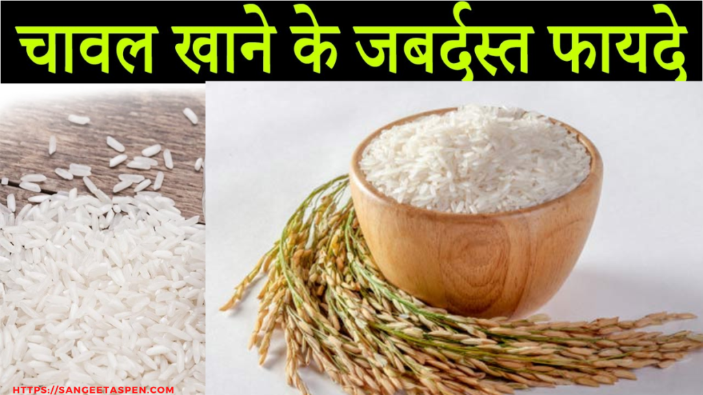 _chawal rice information in hindi