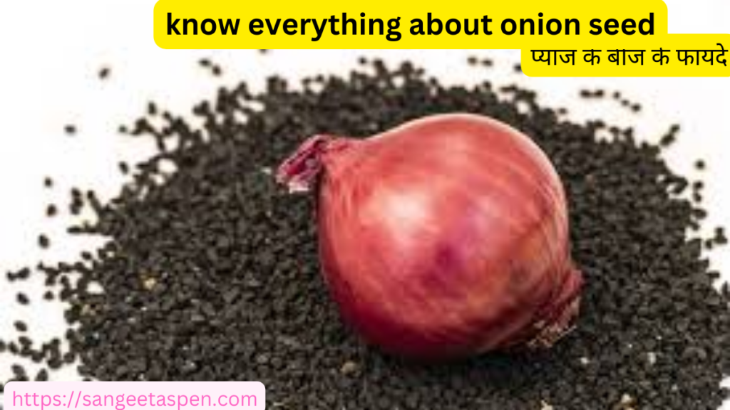 know everything about onion seed