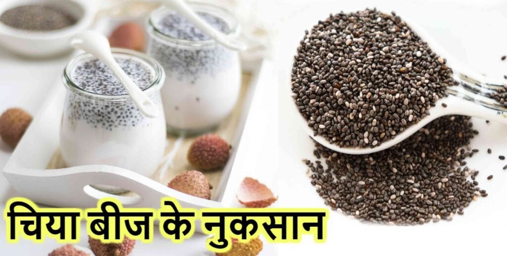 Chia Seeds side effects