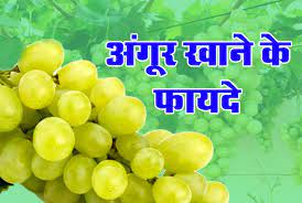 Grapes Health Benefits | Angoor Khane Ke Fayde | Angur Khane Ke Fayde | Health Benefits of Grapes | अंगूर के फायदे
