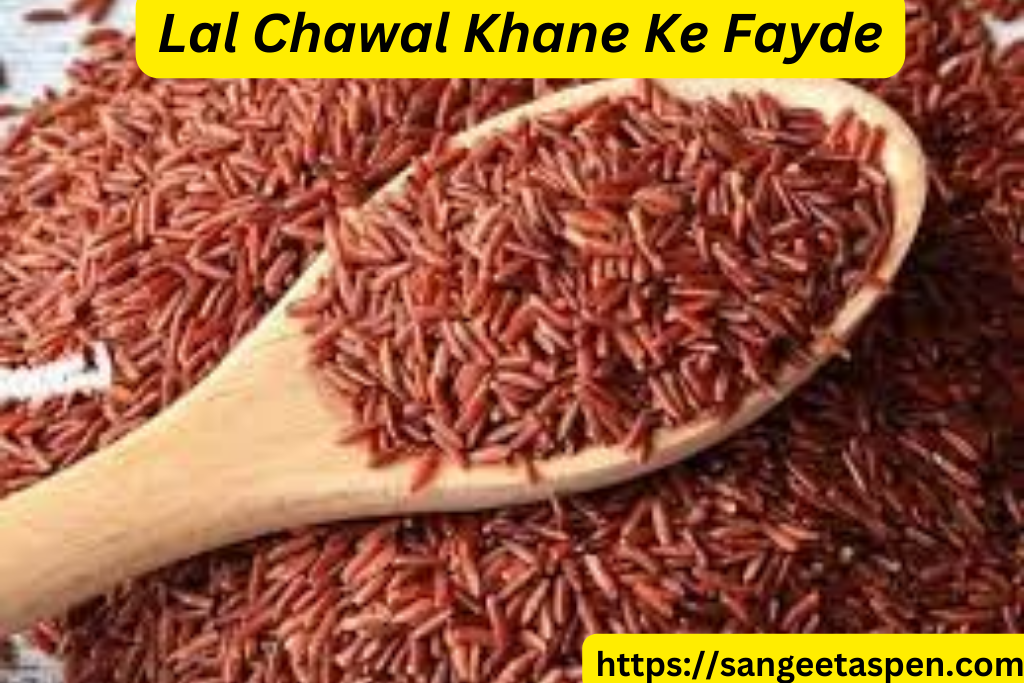Lal Chawal Khane Ke Fayde |Information About Rice In Hindi | Chawal in hindi | chawal rice information in hindi |Lal Chawal Ke Amazing Fayde