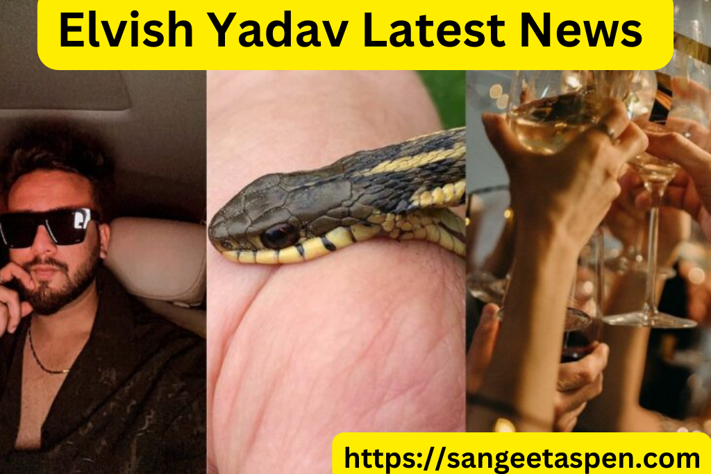 Elvish Yadav Latest News